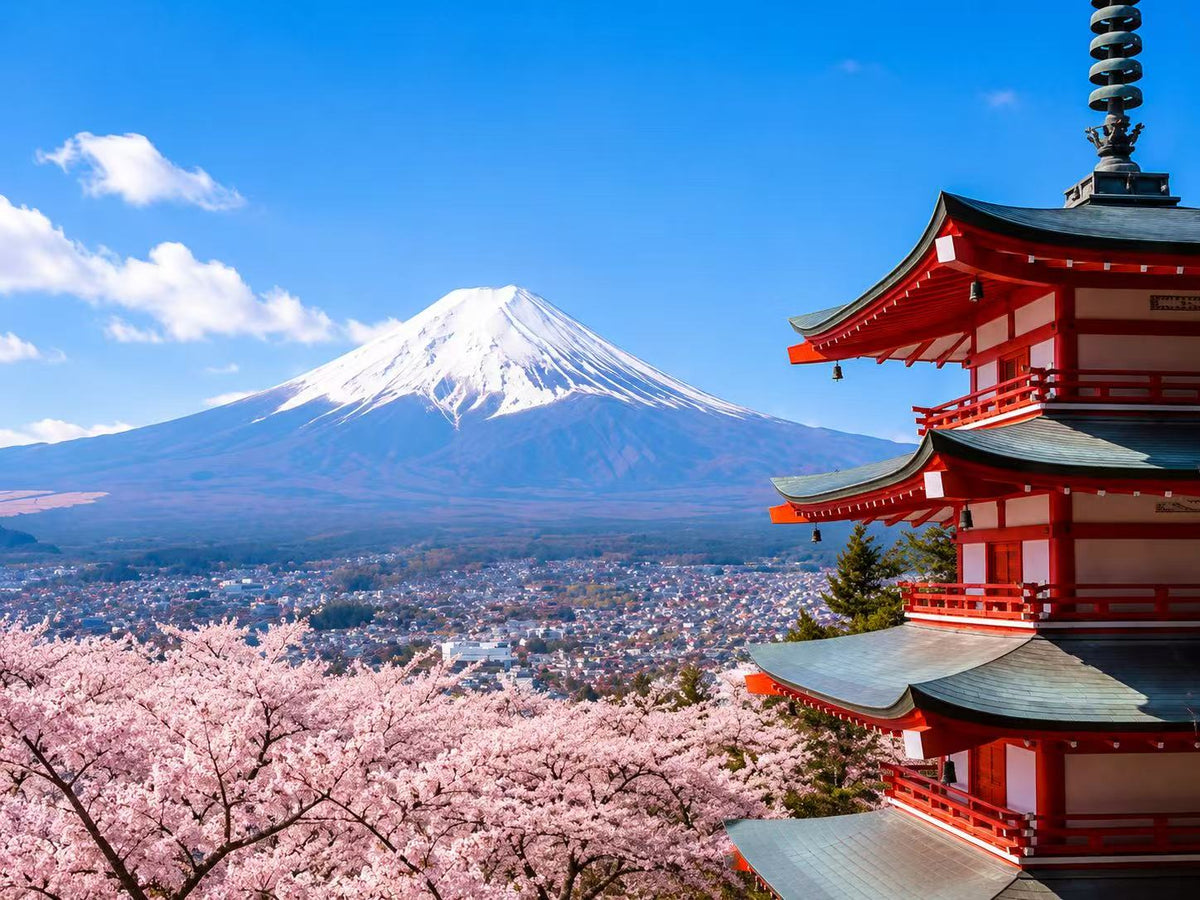 Japan eSIM
